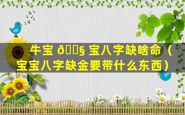 牛宝 🐧 宝八字缺啥命（宝宝八字缺金要带什么东西）